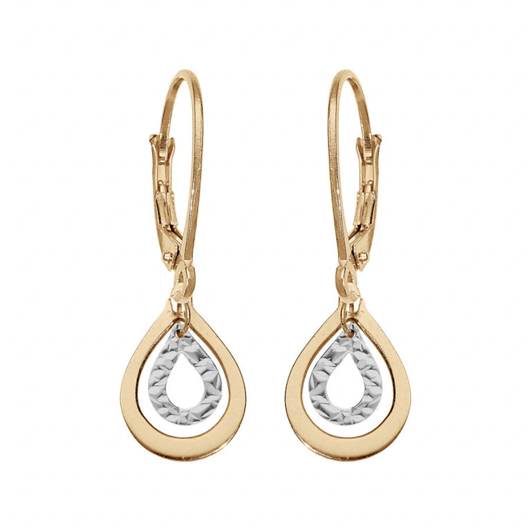 BOUCLES D' OREILLES Dame dormeuses ARGENT bicolores