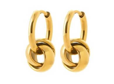 BOUCLE D OREILLE Femme ACIER PVD DORE