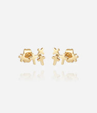 Charger l&#39;image dans la galerie, BOUCLES D&#39;OREILLES Dame &quot;Beata&quot; ZAG SEP25650-01UNI
