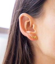 Charger l&#39;image dans la galerie, BOUCLES D&#39;OREILLES Dame &quot;Beata&quot; ZAG SEP25650-01UNI
