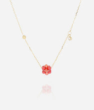 Charger l&#39;image dans la galerie, COLLIER Dame ADONE ZAG SNS25467-01AQU
