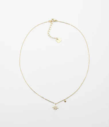 COLLIER Dame 